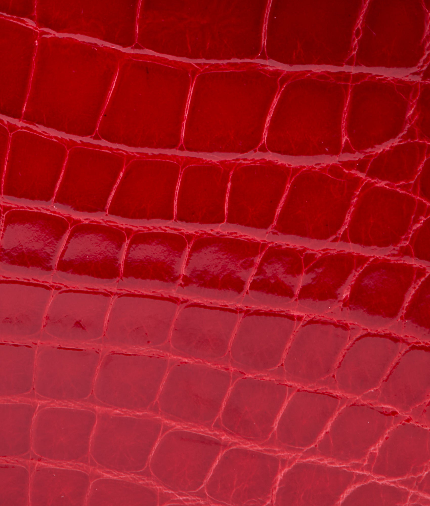 Dolly Exotic Western Satchel :: Cherry Red - Image 11