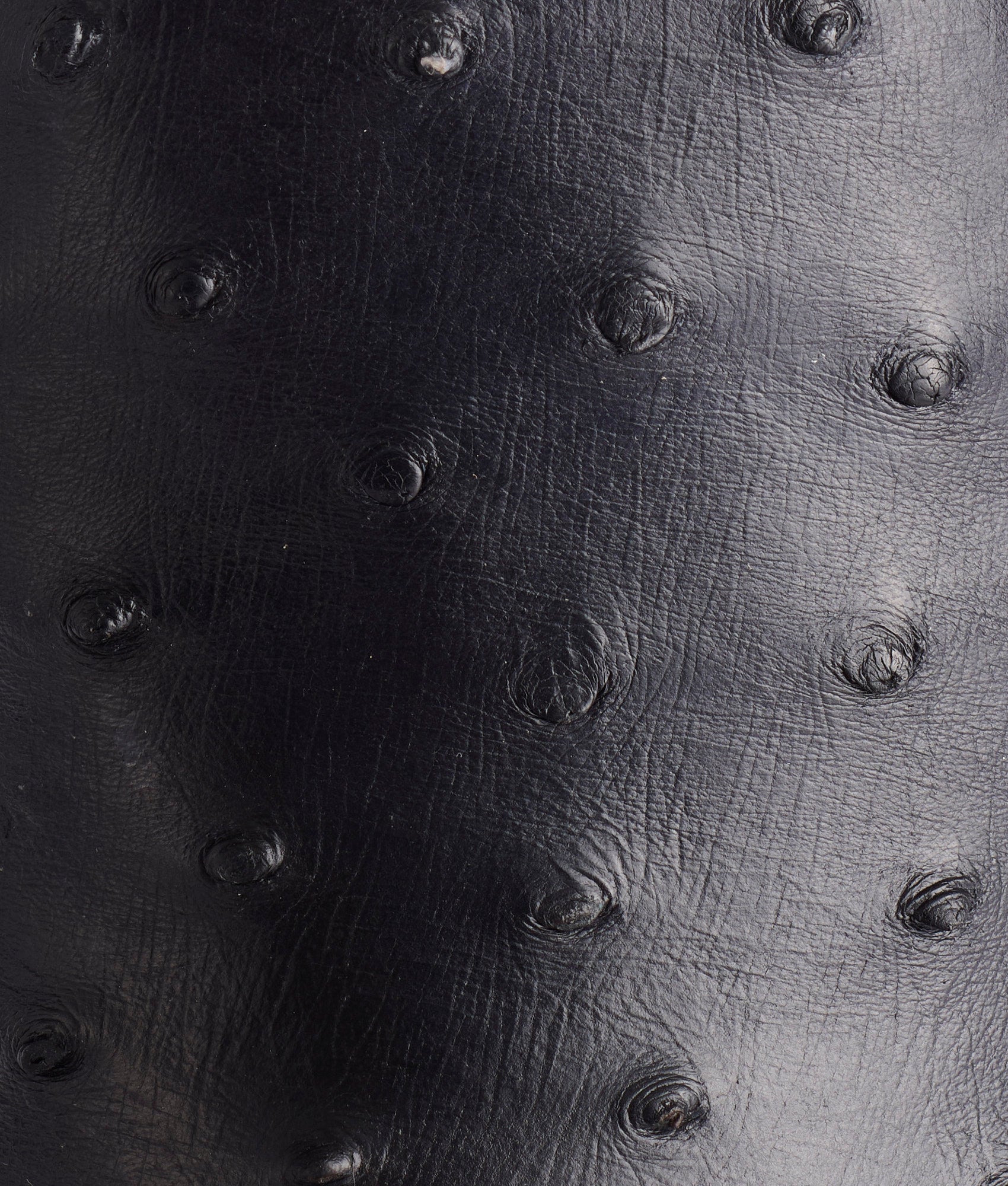 Harmon :: Black - Image 8