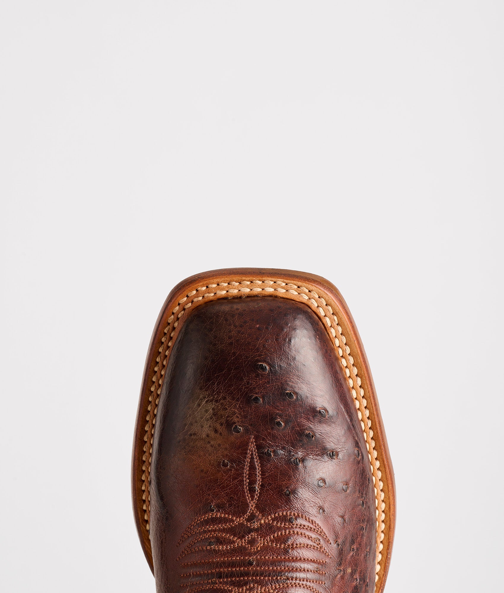 Cecil Exotic :: Sienna - Image 6