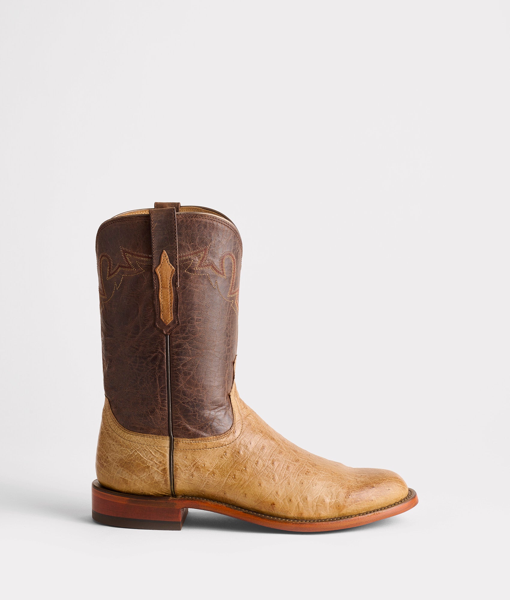 Sunset Exotic :: Olive
