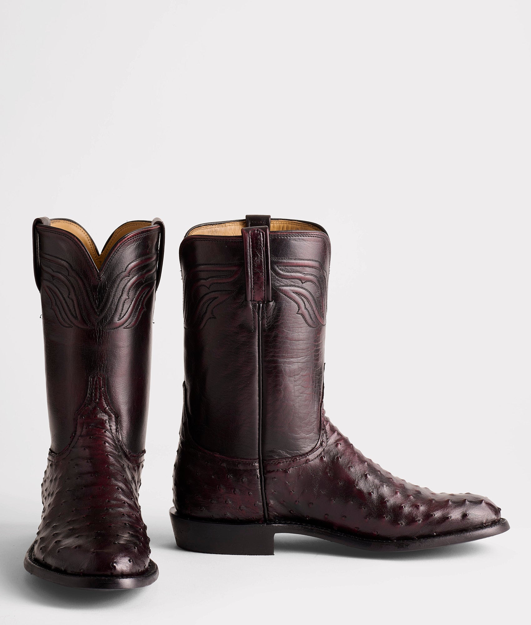 Augustus :: Black Cherry - Image 2