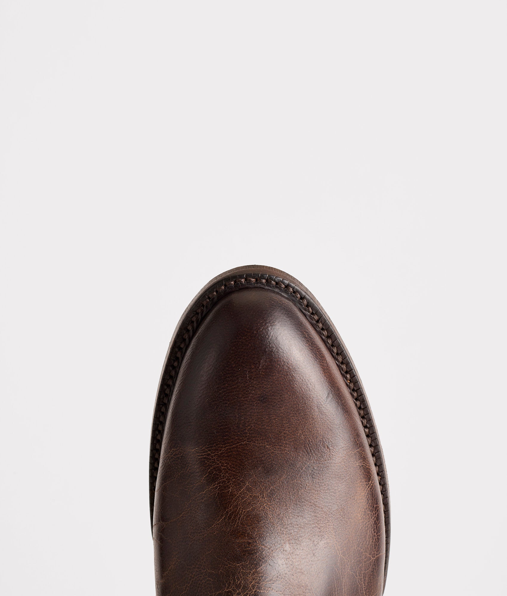 Tanner :: Chocolate - Image 6
