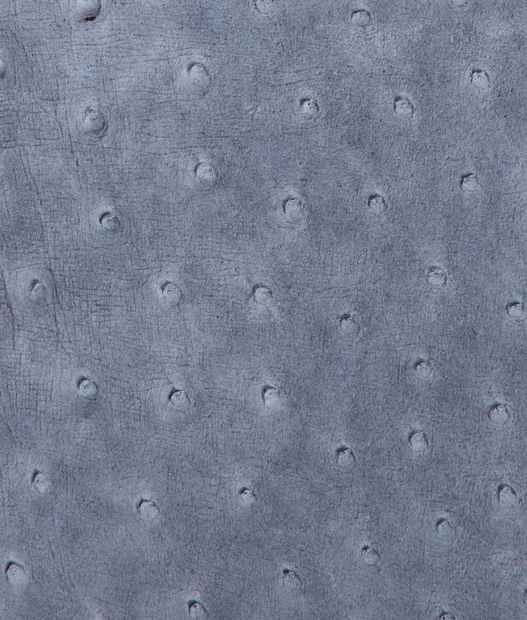 Lauren Exotic Vanity Tote :: Storm Blue - Image 10