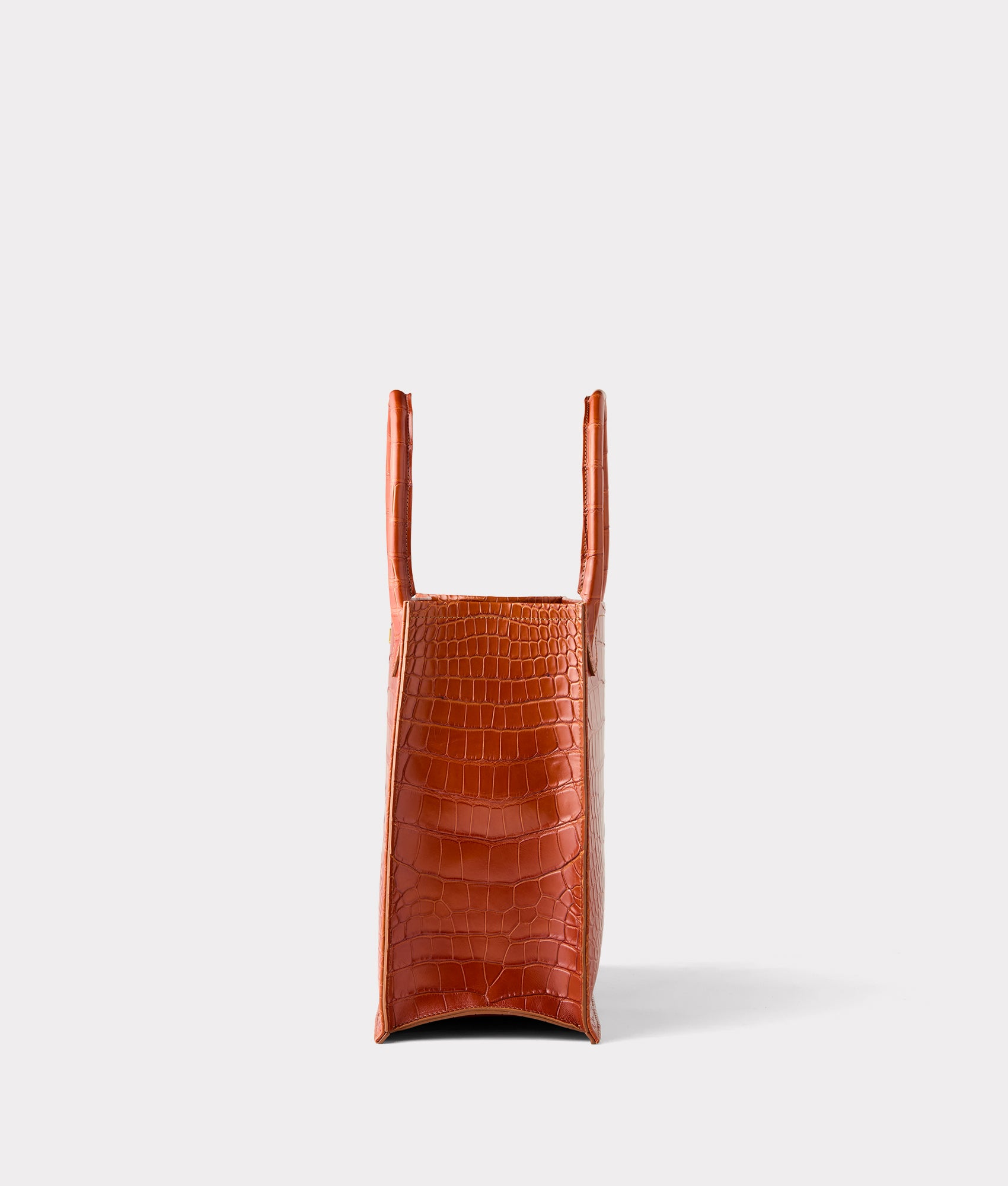 Large Alice Exotic Book Tote :: Honey - Image 7