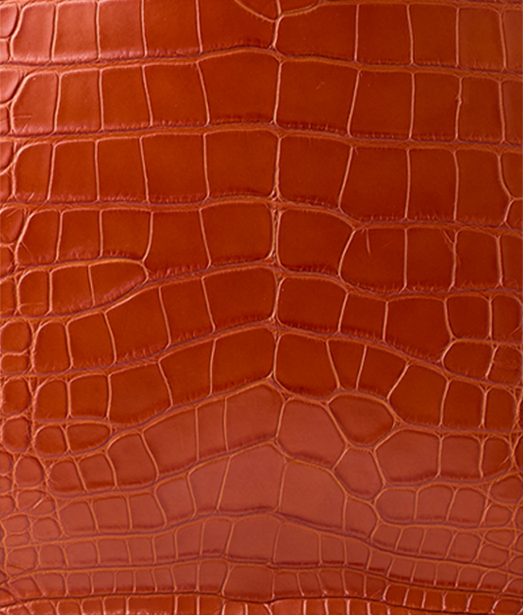 Large Alice Exotic Book Tote :: Honey - Image 10