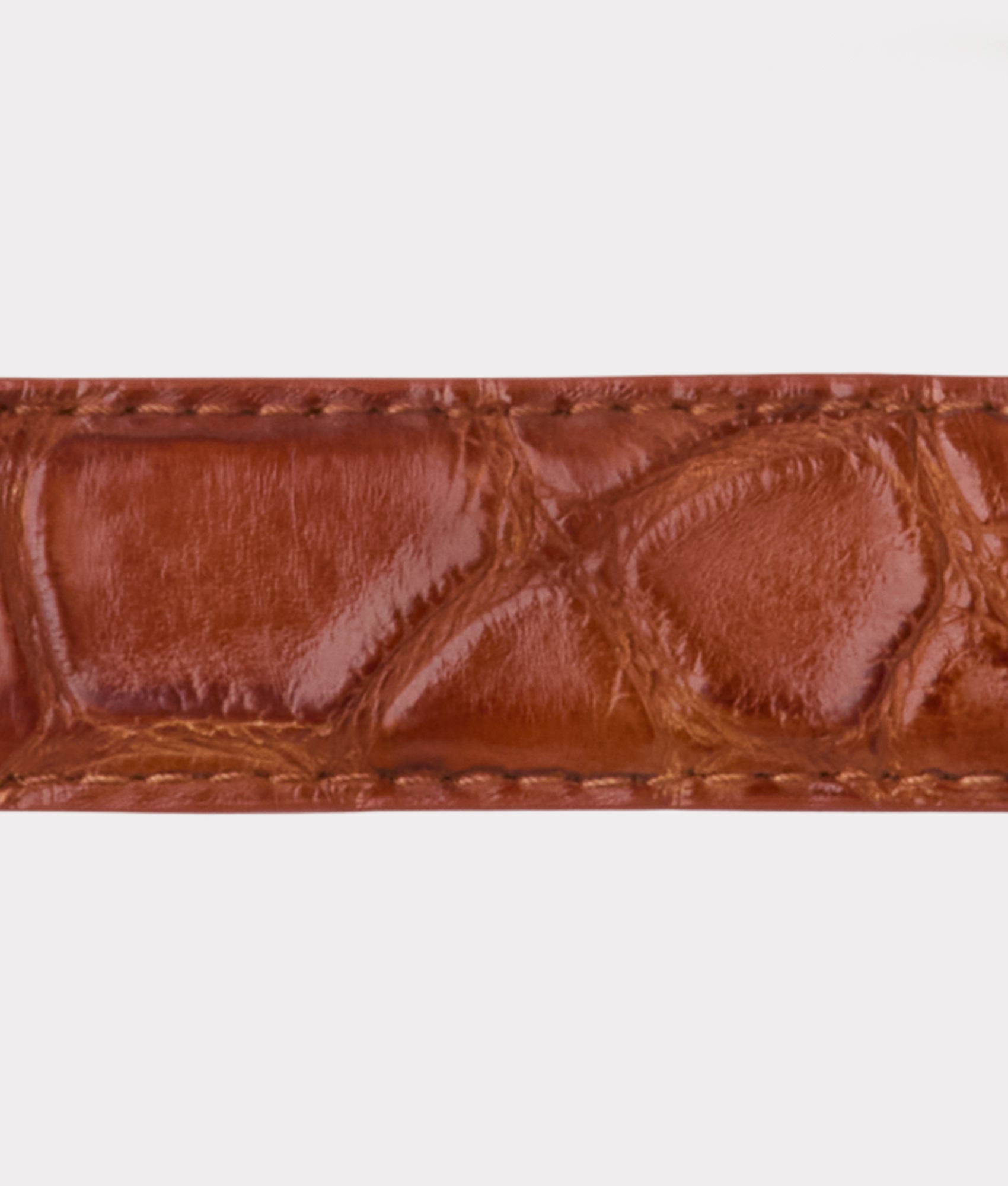 Lady Belt :: Cognac - Image 7