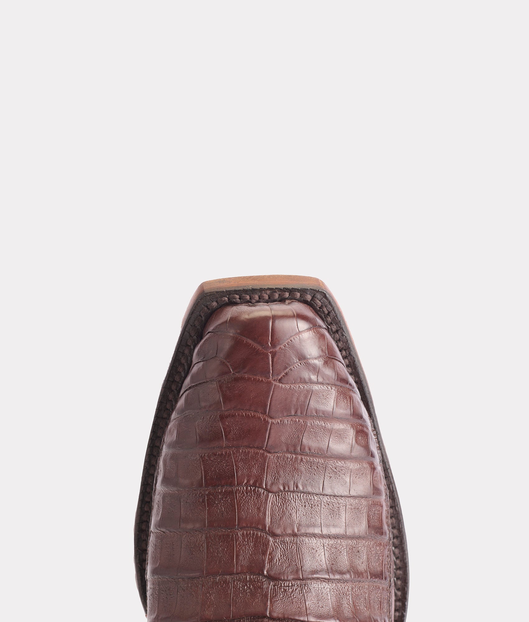 Douglas :: Barrel Brown - Image 7