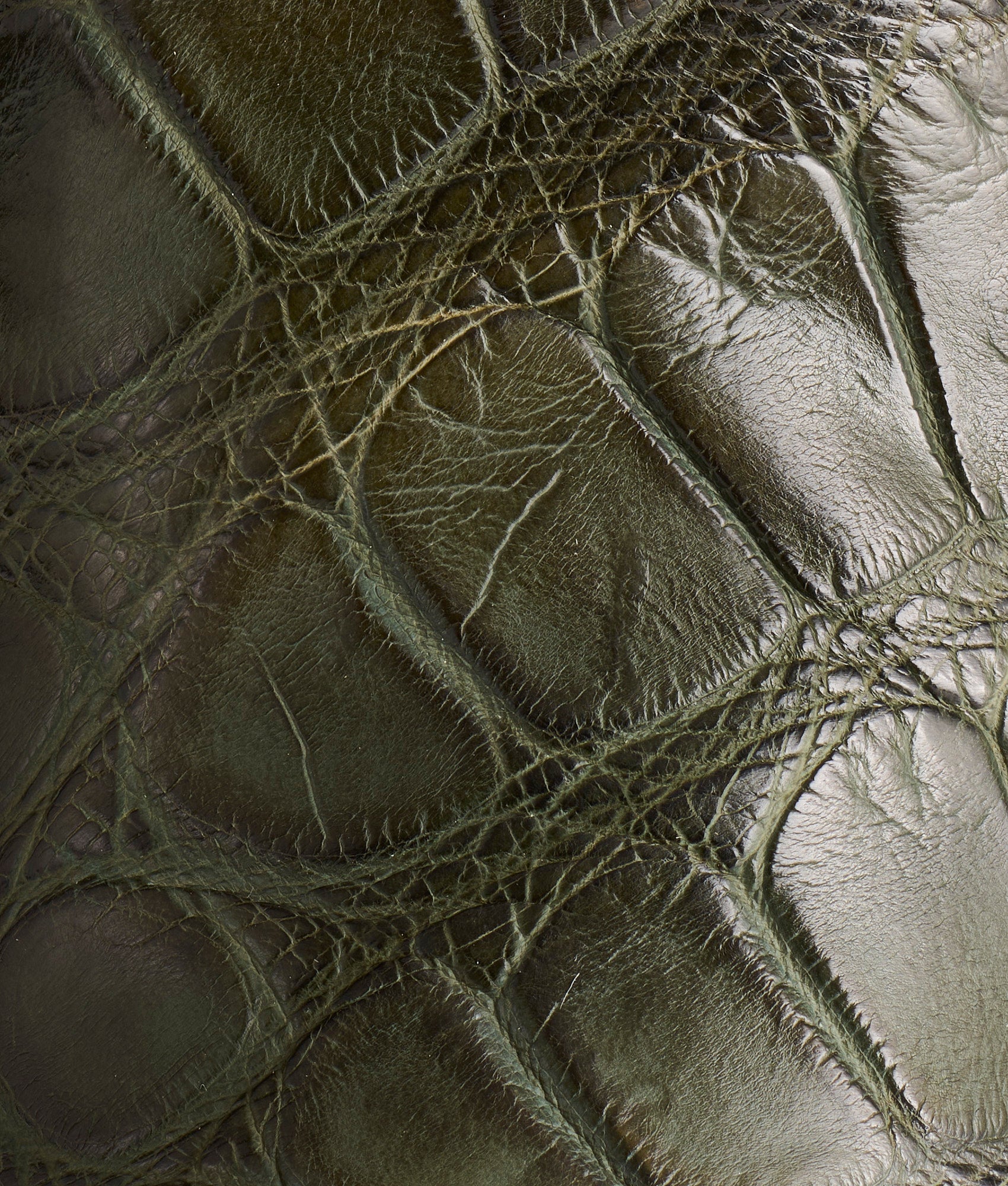 Jingle :: Pine Green - Image 8