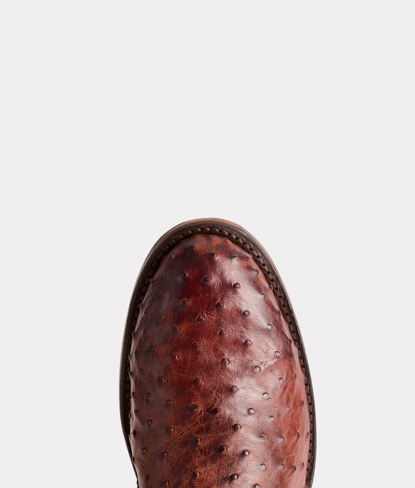 Hudson :: Chocolate - Image 6