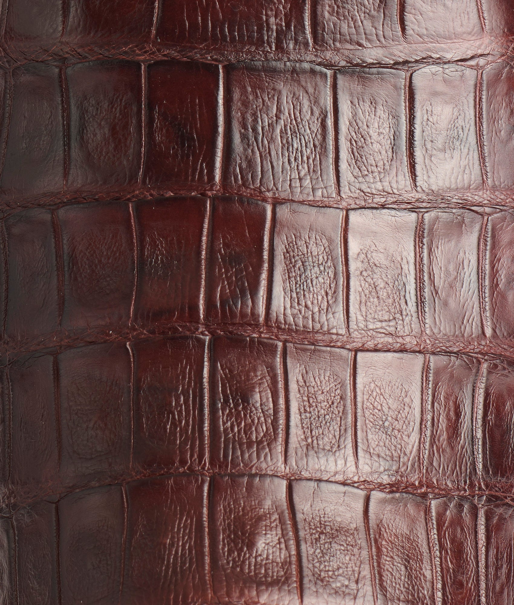 Gerard :: Sienna - Image 7
