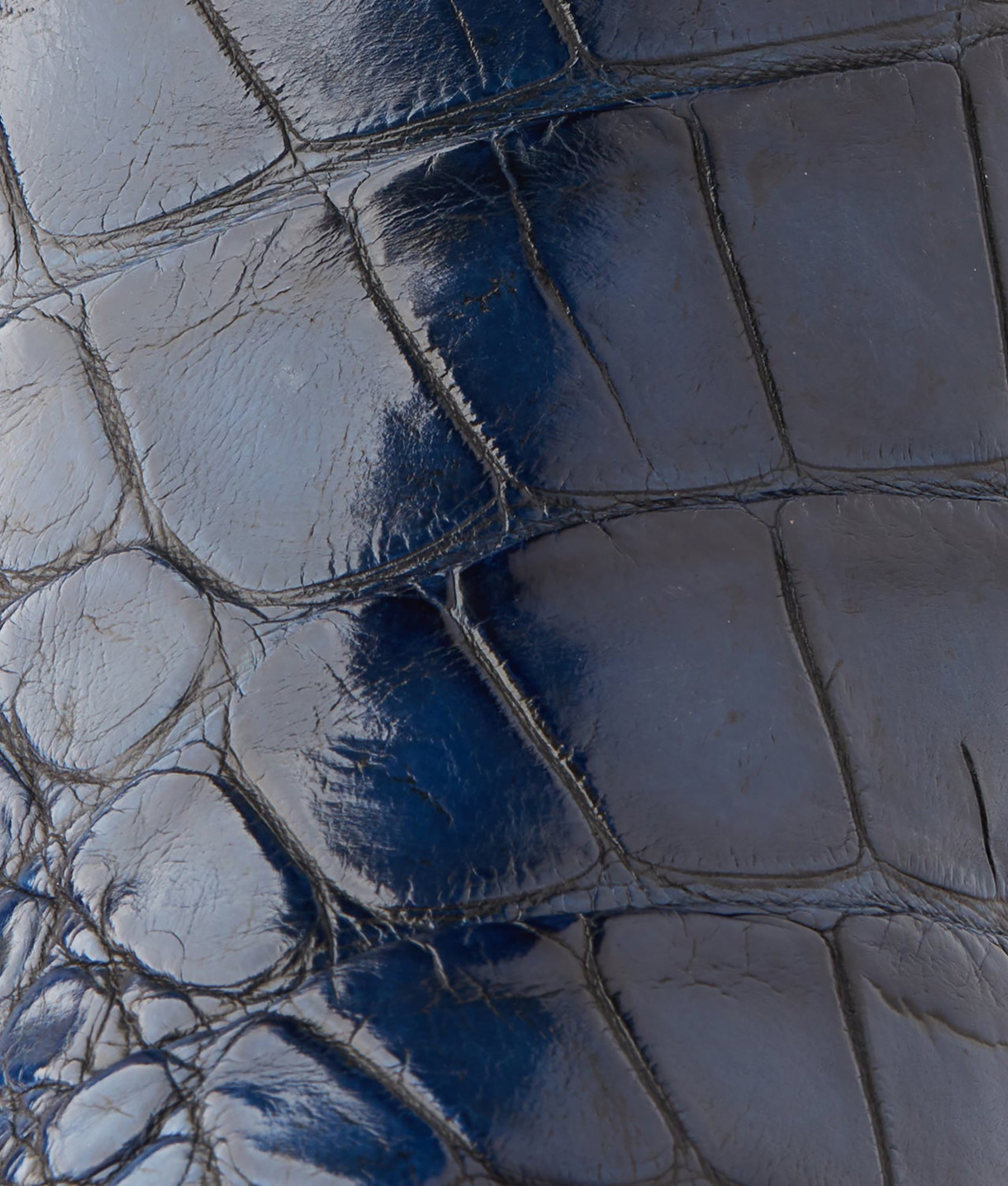 Women's Bluebonnet 140th Anniversary Boot :: Cavalry Blue - Image 15