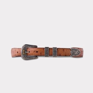Full Quill Ostrich Tapered :: Barnwood