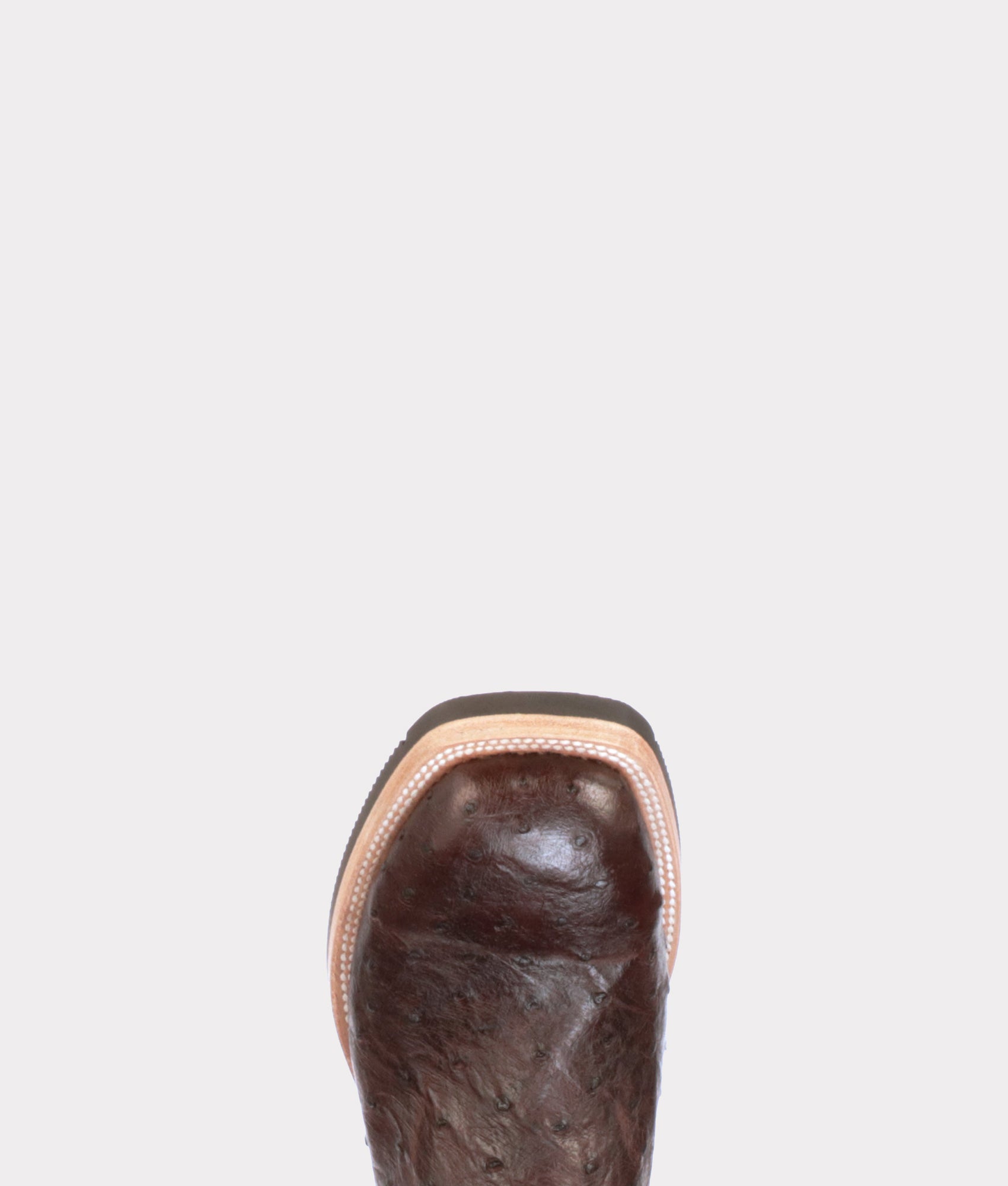 Rowdy Ostrich :: Antique Chocolate - Image 5